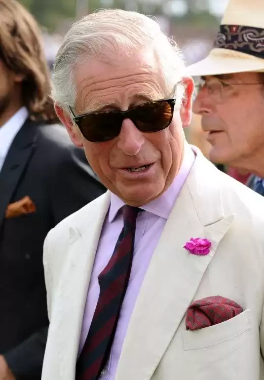Prince Charles in Wayfarer Sunglass Style Prince Charles in Wayfarer Sunglass Style
