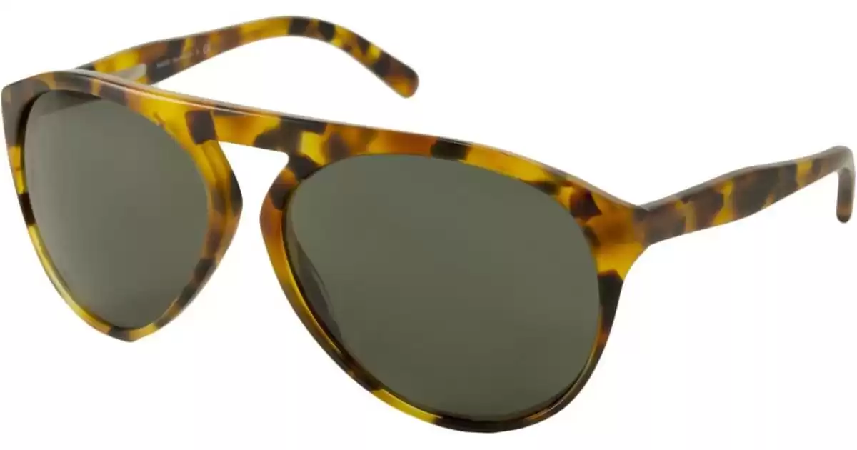 Ralph Lauren Sunglasses in Snake Print Ralph Lauren Sunglasses in Snake Print