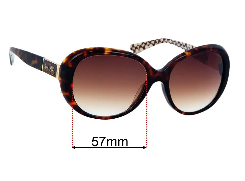 Sunglass Fix Replacement Lenses Coach HC8120F Sunglass Fix Replacement Lenses Coach HC8120F