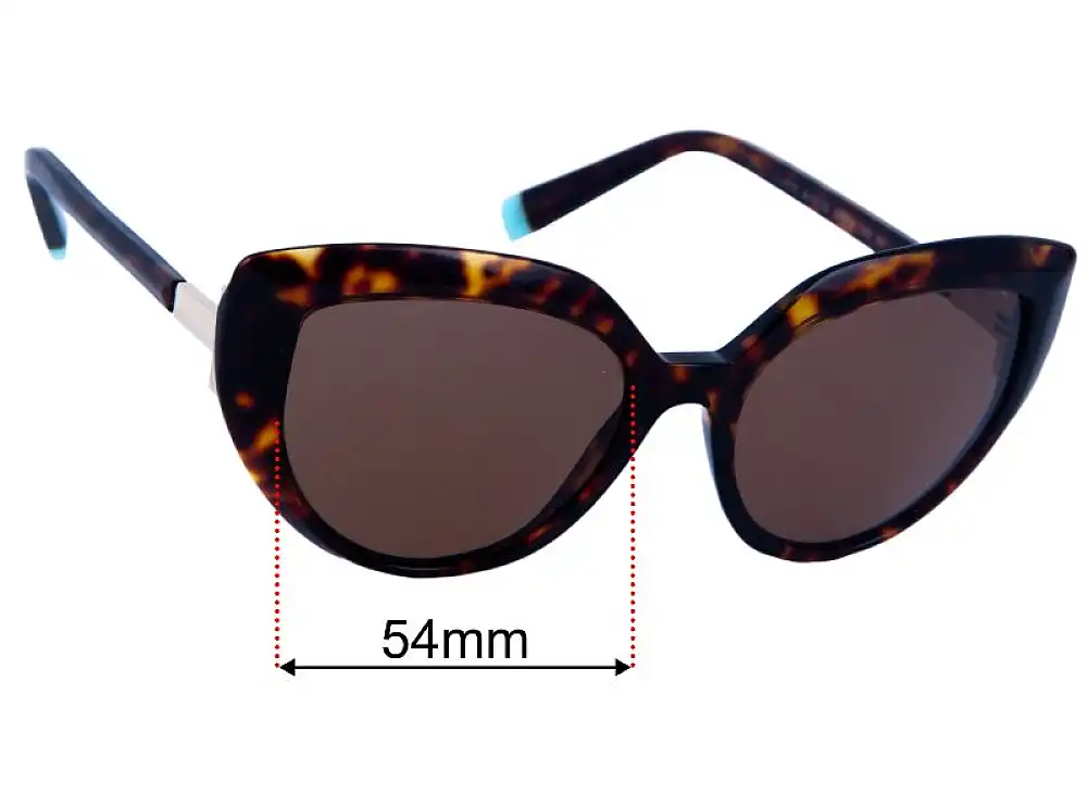 Sunglass Fix Lentilles de Remplacement pour Tiffany & Co TF4170 - 54mm Wide Sunglass Fix Lentilles de Remplacement pour Tiffany & Co TF4170 - 54mm Wide