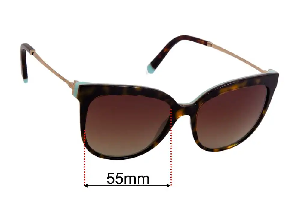 Sunglass Fix Lentilles de Remplacement pour Tiffany & Co TF4176 - 55mm Wide Sunglass Fix Lentilles de Remplacement pour Tiffany & Co TF4176 - 55mm Wide