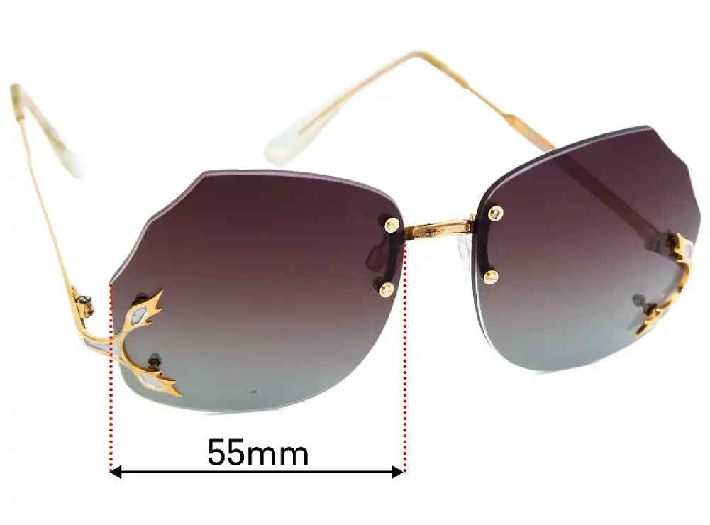 Sunglass Fix Lentilles de Remplacement pour Polaris Unknown Model - 55mm Wide Sunglass Fix Lentilles de Remplacement pour Polaris Unknown Model - 55mm Wide