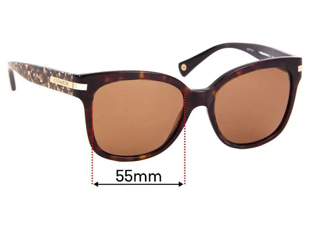 Sunglass Fix Verres de Remplacement pour Coach HC8103 Alfie - 55mm Wide Sunglass Fix Verres de Remplacement pour Coach HC8103 Alfie - 55mm Wide