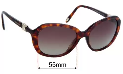 Sunglass Fix Verres de Remplacement pour Tiffany & Co TF 4108-B - 55mm Wide Sunglass Fix Verres de Remplacement pour Tiffany & Co TF 4108-B - 55mm Wide