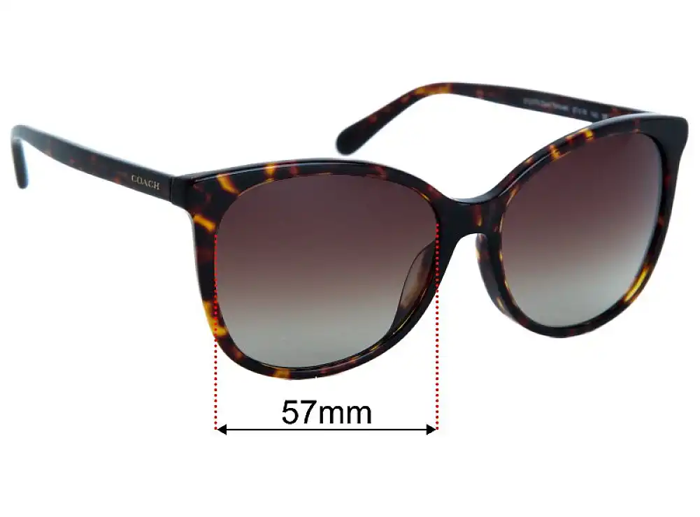 Sunglass Fix Lentilles de Remplacement pour Coach HC 8271U - 57mm Wide Sunglass Fix Lentilles de Remplacement pour Coach HC 8271U - 57mm Wide