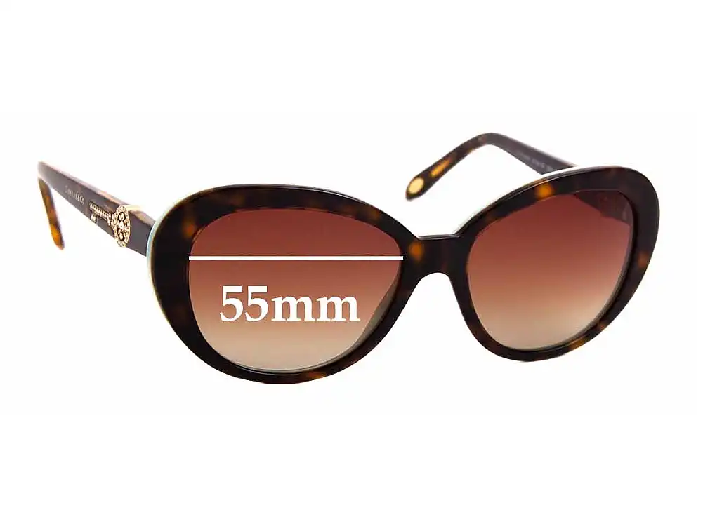 Sunglass Fix Verres de Remplacement pour Tiffany & Co TF 4118-B - 55mm Wide Sunglass Fix Verres de Remplacement pour Tiffany & Co TF 4118-B - 55mm Wide