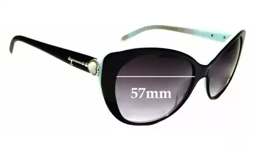 Sunglass Fix Verres de Remplacement pour Tiffany & Co TF 4009-H - 57mm Wide Sunglass Fix Verres de Remplacement pour Tiffany & Co TF 4009-H - 57mm Wide