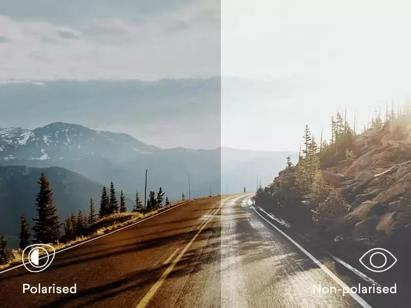 polarized and non-polorarized vision difference
