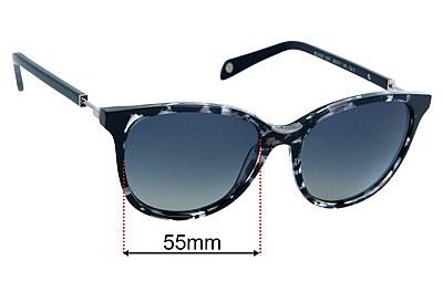 Balmain BL2102 Replacement Lenses 55mm wide 