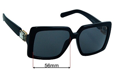 Swarovski  SK 351 Replacement Lenses 56mm wide 