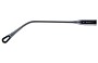Chloe CH 0081S Replacement Lenses 55mm wide 