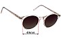 Sunglass Fix Verres de Remplacement pour Ace and Tate Monty - 49mm Wide 