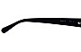 Stella McCartney SC0018S Replacement Sunglass Lenses Model Number 
