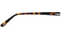 Bill Bass Imogen 25684 Replacement Lenses Model Name Location 