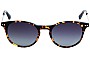 Bailey Nelson Markova BNA216 Replacement Lenses - Front View 