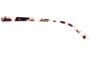 Sunglass Fix Replacement Lenses for Fiorelli Etta - Model Name  