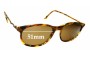 Sunglass Fix Lentes de Repuesto para James Dean Monterry - 51mm Wide 