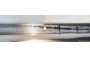 Sunglass Fix Lentes de Repuesto para DKNY DY4039 - 60mm Wide 