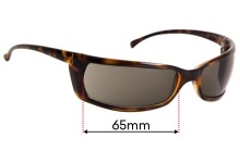 Apex Polarizado Lentes De Reemplazo Pro para Silentio AN4250 Gafas de sol arnette 