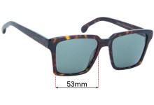 Paul Smith Austin Replacement Lenses 53mm Wide
