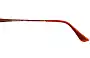 Fiorelli Constance Replacement Lenses Model Name Location 