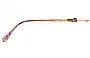 Paloma Picasso 3778 48 Replacement Lenses Front View 