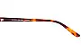 Sass & Bide Dazed & Amused Replacement Lenses Model Name Location 