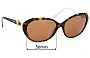 Sunglass Fix Replacement Lenses for Tiffany & Co TF 4098 - 56mm Wide 