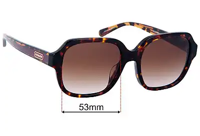 Coach HC8335U Replacement Lenses 53mm wide 