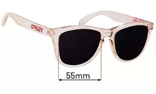 Oakley Frogskins Collectors (RARE) Replacement Lenses 55mm wide 
