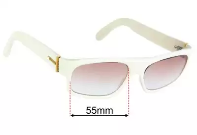Von Zipper Monterey Replacement Lenses 55mm wide 