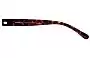 Coach HC8210 Replacement Lenses 56mm wide - Model Number 