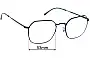 Sunglass Fix Replacement Lenses for Ray-Ban RB3694 Jim Optics - 53mm Wide 