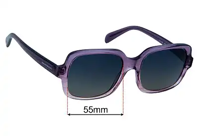 Emporio Armani EA4195 Replacement Lenses 55mm wide 