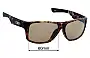 Sunglass Fix Replacement Lenses for LXD Tasman - 60mm Wide 