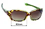Sunglass Fix Verres de Remplacement pour Oakley Script - 62mm Wide 