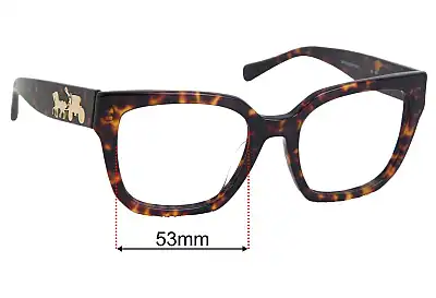 Coach HC8249F Replacement Lenses 53mm wide 