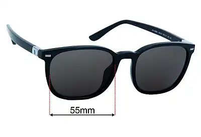 Polo Polo PH 4208U Replacement Lenses 55mm wide 