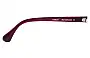 Sunglass Fix Replacement Lenses for Sun Buddies Amber  