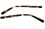 Coach HC 8221 Replacement Sunglass Lenses 56mm - Model Number 