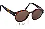 Giorgio Armani AR 8005 Replacement Sunglass Lenses - 51mm  