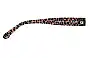 Kate Spade Elowen/G/S Replacement Lenses 55mm wide Model Number 