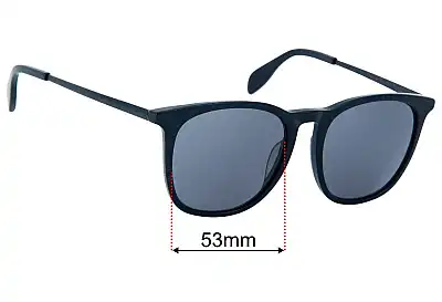 William Painter The Oasis "Find Your Oasis" Replacement Lenses 53mm wide 