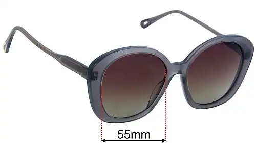 Chloe CH 0081S Replacement Lenses 55mm wide 