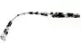 Country Road CR Sun Rx 29 Replacement Lenses Side View 