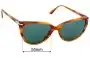 Persol 3251-S Replacement Lenses 55mm wide 