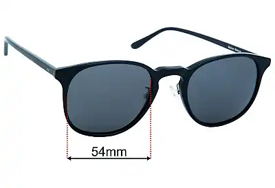 Bailey Nelson  Palmer XL Replacement Lenses 54mm wide 