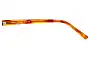 Oroton Adelyn Replacement Lenses 54mm wide Model Name 