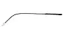 Saint Laurent  SL 623 Replacement Lenses 49mm wide Model Name 