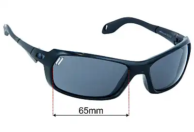 Julbo Bivouak Replacement Lenses 65mm wide 